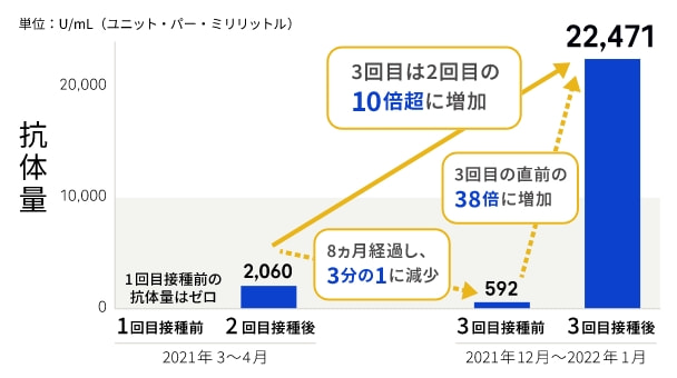 ワクチン接種後のスパイク抗体量の変動（中央値）