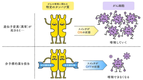 分子標的薬の作用