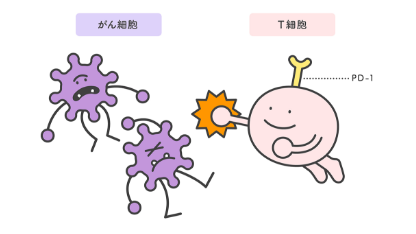 私たちの体の中には、「T細胞」という「がん細胞」を攻撃する性質がある免疫細胞があり、発生した「がん細胞」を排除しています。